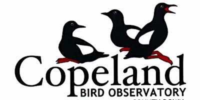 Primaire afbeelding van Copeland Bird Observatory 70th Anniversary Dinner