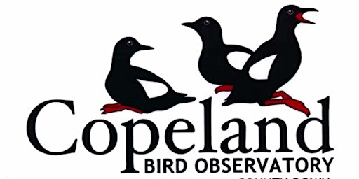 Immagine principale di Copeland Bird Observatory 70th Anniversary Dinner 