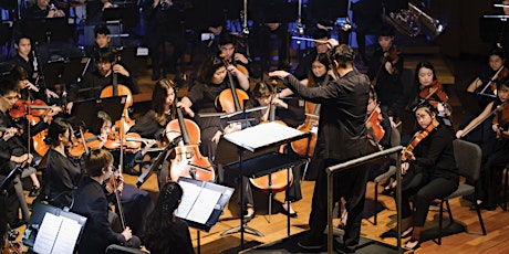 Hauptbild für Orchestral Institute: Amerigo-round