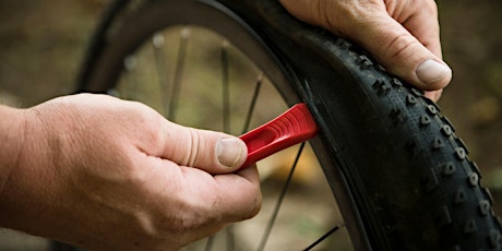 Trek Carrollwood Monthly Flat Repair Clinics (Free)