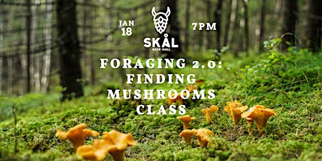 Foraging 2.0: Finding Mushrooms Class primary image