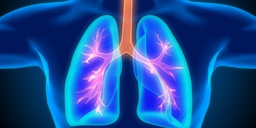 Immagine principale di Respiratory Essentials for Healthcare Professionals in the UK 