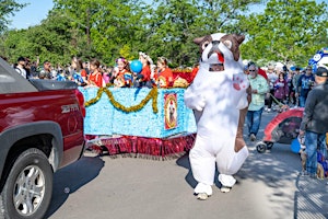 Imagen principal de 2024 Fiesta Pooch Parade