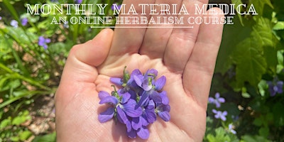 Monthly Materia Medica primary image