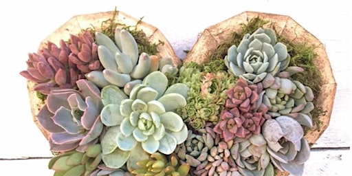 Primaire afbeelding van Wooden Succulent Heart Planter Arrangement