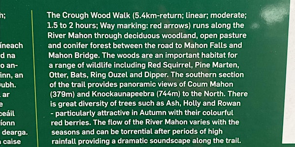 Crough Wood Waterford Sat 4th May 10am
