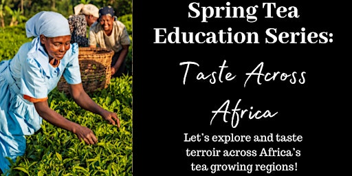 Taste Across Africa: a Tea Tour! primary image
