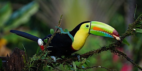 Imagen principal de Ágora de viajes - COSTA RICA
