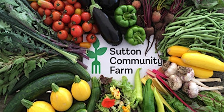 Sutton Community Farm's Harvest Festival 2019 primary image