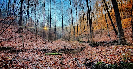 Imagem principal do evento New Year's Day Hike