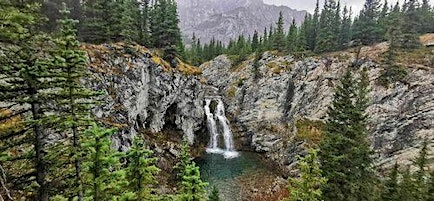 Guided hike- Elbow Lake trail/ Edworthy falls (3BL) primary image