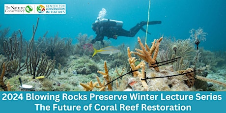 (Winter Lecture Series) The Future of Coral Reef Restoration