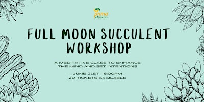 Image principale de Succulent Planting Workshop & Full Moon Meditation