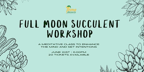 Hauptbild für Succulent Planting Workshop & Full Moon Meditation