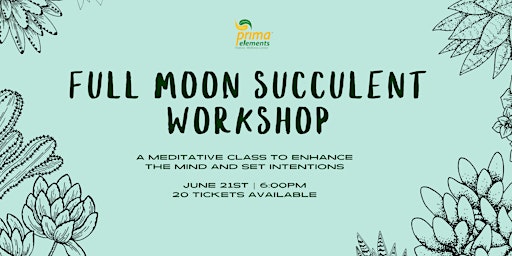 Immagine principale di Succulent Planting Workshop & Full Moon Meditation 