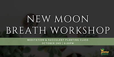 Breath Workshop - New Moon primary image