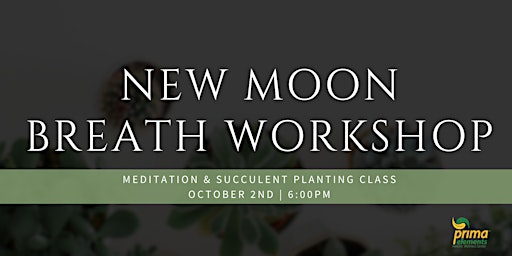 Primaire afbeelding van Breath Workshop - New Moon