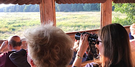 Hauptbild für Hirschkonzert im Darßwald | Fahrradexkursion