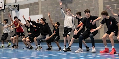 Image principale de FREE BASKETBALL SESSION  :THURSDAY: INTERMEDIATE : 8.15-9.15pm @RMS