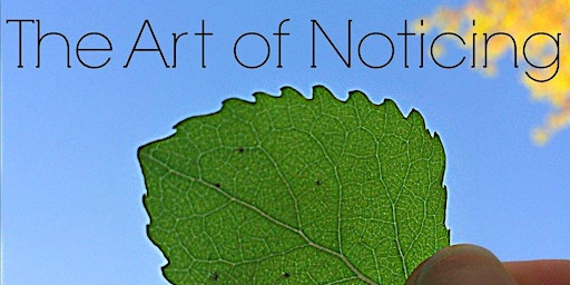 The Art of Noticing primary image