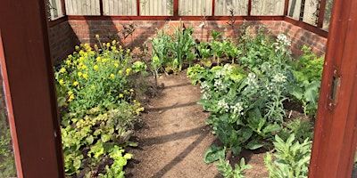 Imagem principal do evento Polytunnel / Greenhouse Growing - Winter Cropping: April 2024