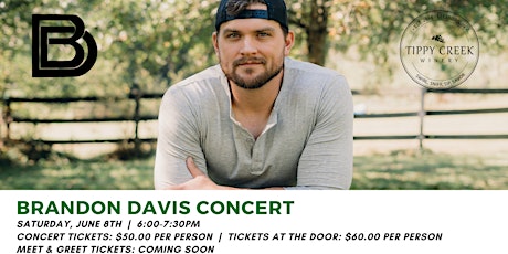 Brandon Davis Concert | Saturday, June 8th | 6:00-7:30pm