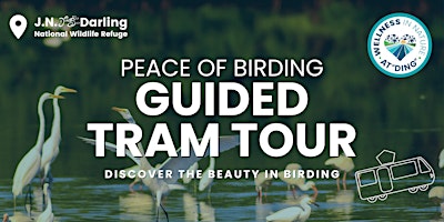 Imagen principal de The Peace of Birding: Free Tram Tour