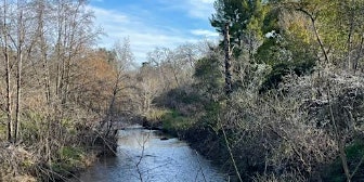 City of Roseville Royer/ Saugstad Creek Cleanup Event primary image