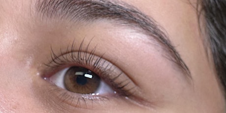 Lash Lift & Tint Course 1:1 April 9th