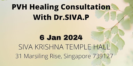 Hauptbild für PVH Consultation & Healing Session
