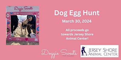 Dog Egg Hunt primary image