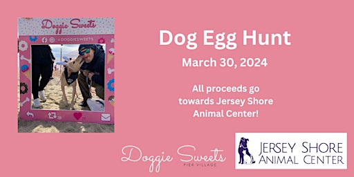 Imagem principal do evento Dog Egg Hunt