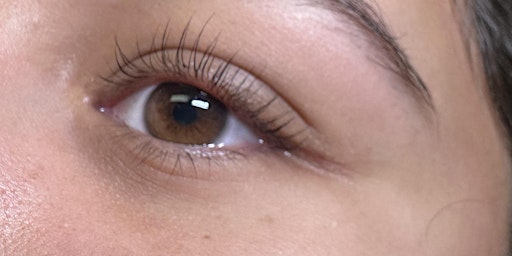 Hauptbild für Lash lift & tinting course 1:1 April 10th