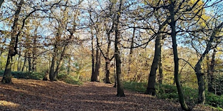 Walking Tour - The Heights of London - Greenwich