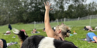 Goat Yoga Season Opener primary image