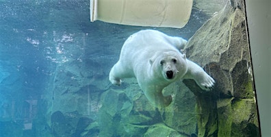 Hauptbild für Zoo Admission, July through September 2024