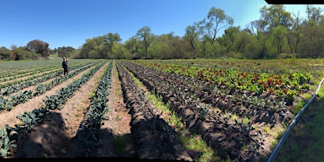 Farmer Field Day: Christina's Organics primary image