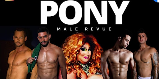 Imagem principal do evento Pony Male Revue