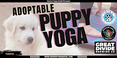 Imagem principal do evento Adoptable Puppy Yoga at Great Divide Barrel Bar