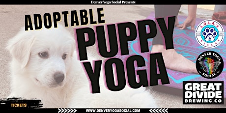 Adoptable Puppy Yoga at Great Divide Barrel Bar