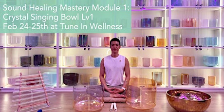 Primaire afbeelding van Sound Healing Mastery Module 1: Crystal Singing Bowl Level 1