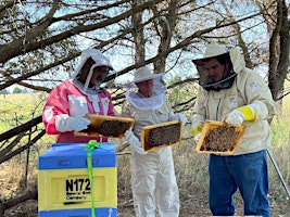 Image principale de Beekeeping Workshop