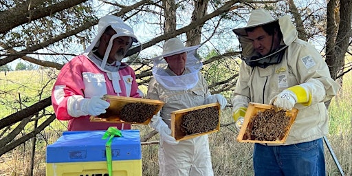 Hauptbild für Corporate Bee Workshop