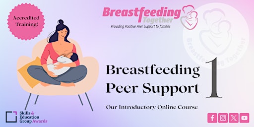 Breastfeeding Peer Support 1 primary image