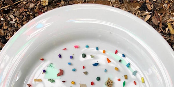 Microplastic: Picking Up the Pieces