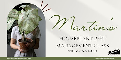 Imagen principal de Houseplant Management