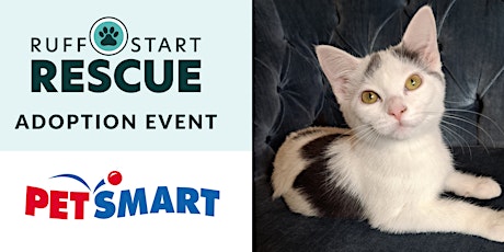 Imagen principal de Monticello PetSmart Adoption Day Event