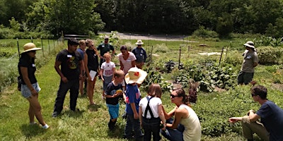 Primaire afbeelding van Intergenerational Wild Food Walk with Jen Willet