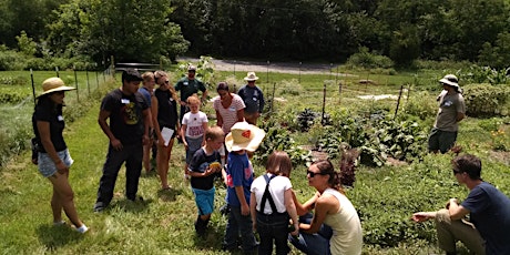 Intergenerational Wild Food Walk with Jen Willet