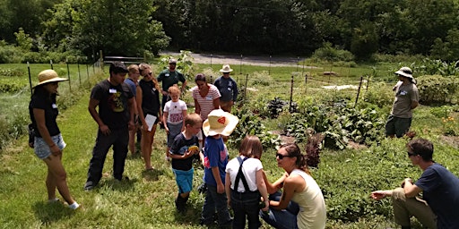 Image principale de Intergenerational Wild Food Walk with Jen Willet